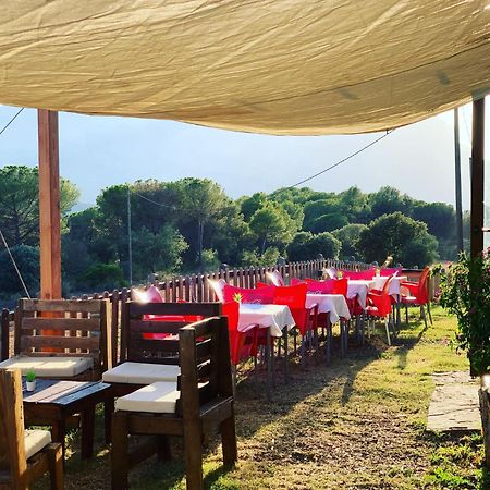 La Frasera Alojamiento Rural Vacarisas Εξωτερικό φωτογραφία