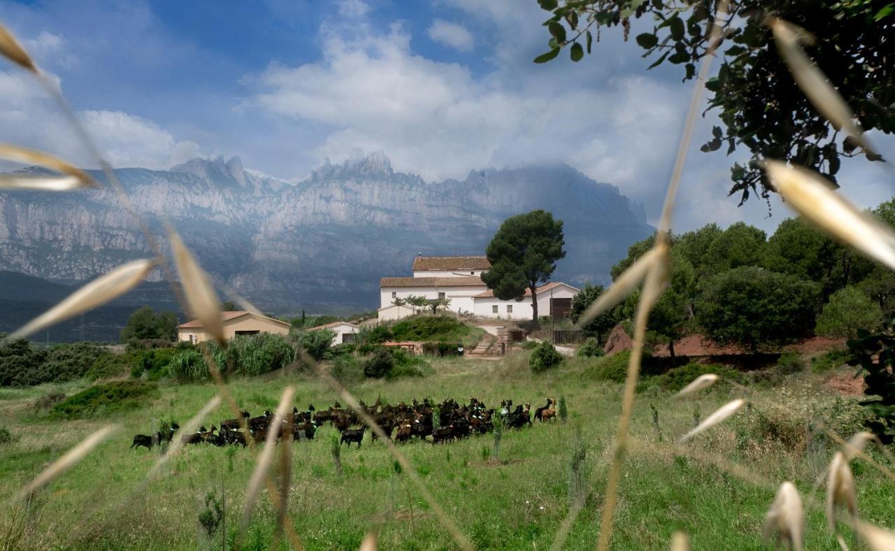 La Frasera Alojamiento Rural Vacarisas Εξωτερικό φωτογραφία